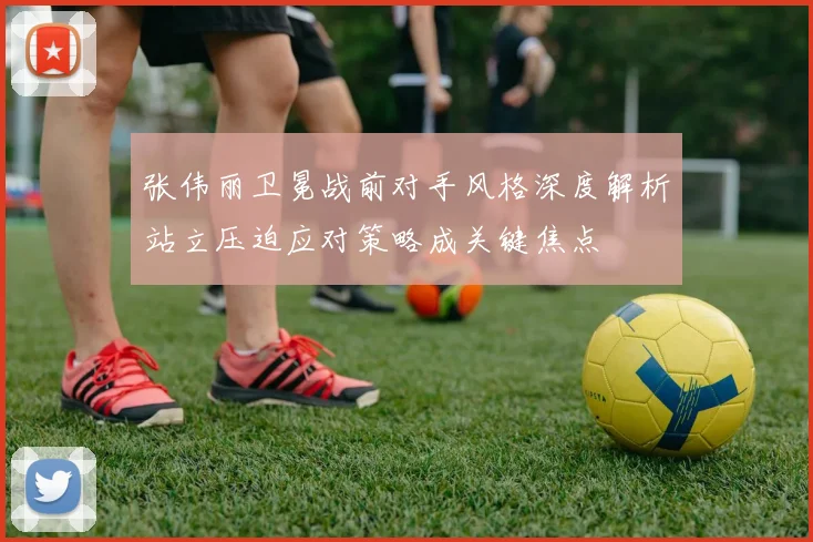 张伟丽卫冕战前对手风格深度解析站立压迫应对策略成关键焦点